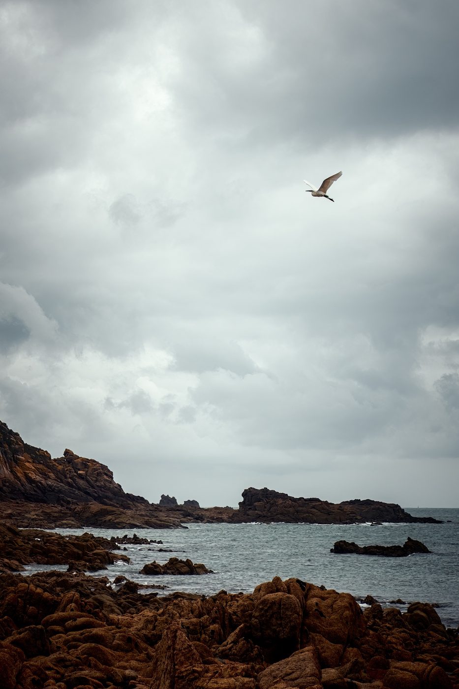 The Egret, Jersey