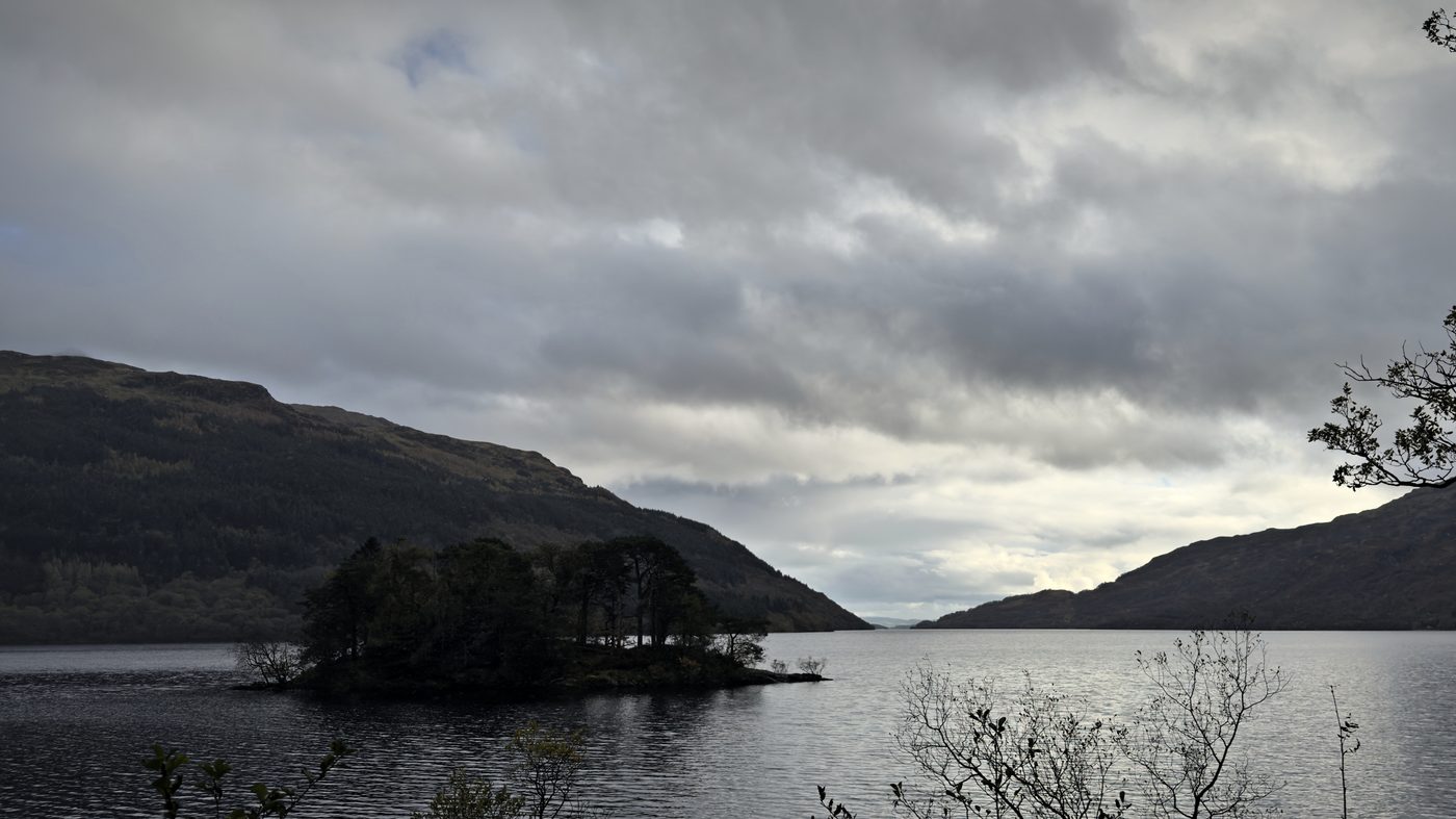 Pine island, Scottish Highlands