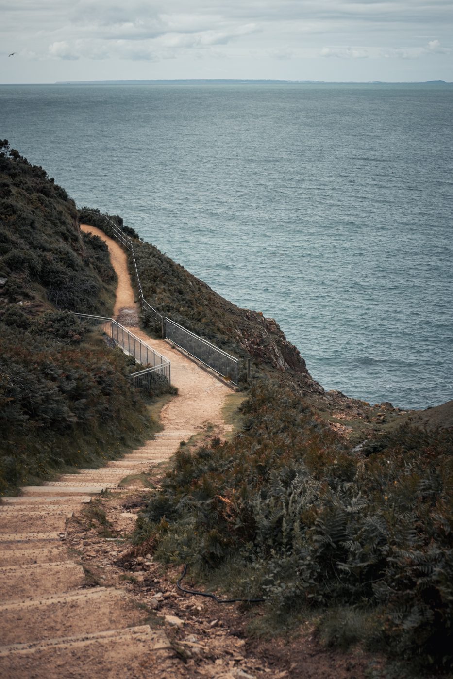 The Way Down, Jersey
